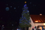 Rozsvícení vánočního stromu 29. listopadu 2015