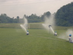 Huslenky 11. června 2005